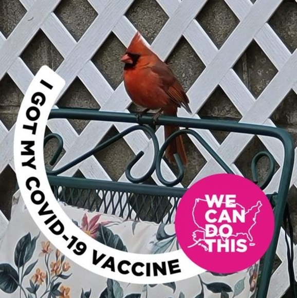 Meet your Posher, Robin - Picture 1 of 1